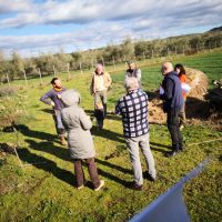 Gruppo analisi sistema garanzia partecipata