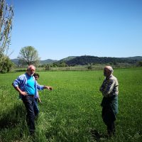 Analisi produzioni agricole con sistema di garanzia partecipata