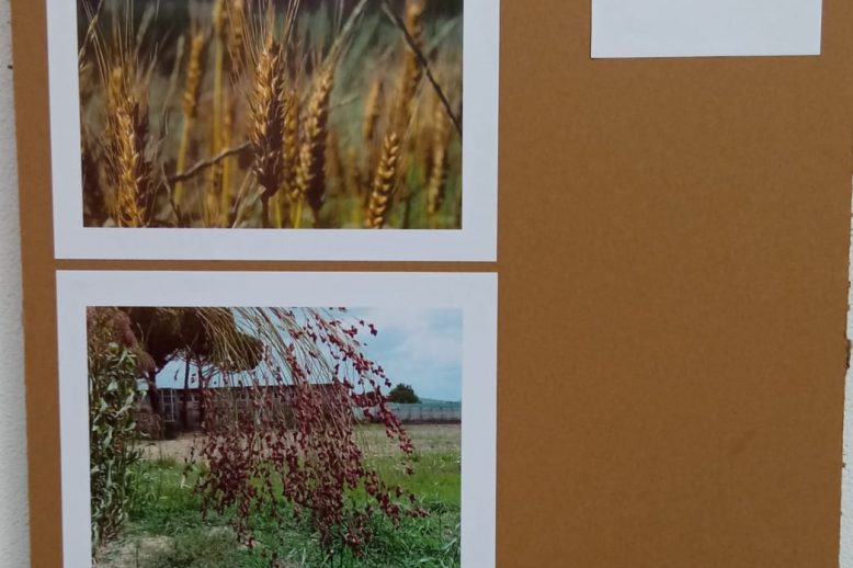 WhatsApp Image 2022-09-07 at 19.20.31