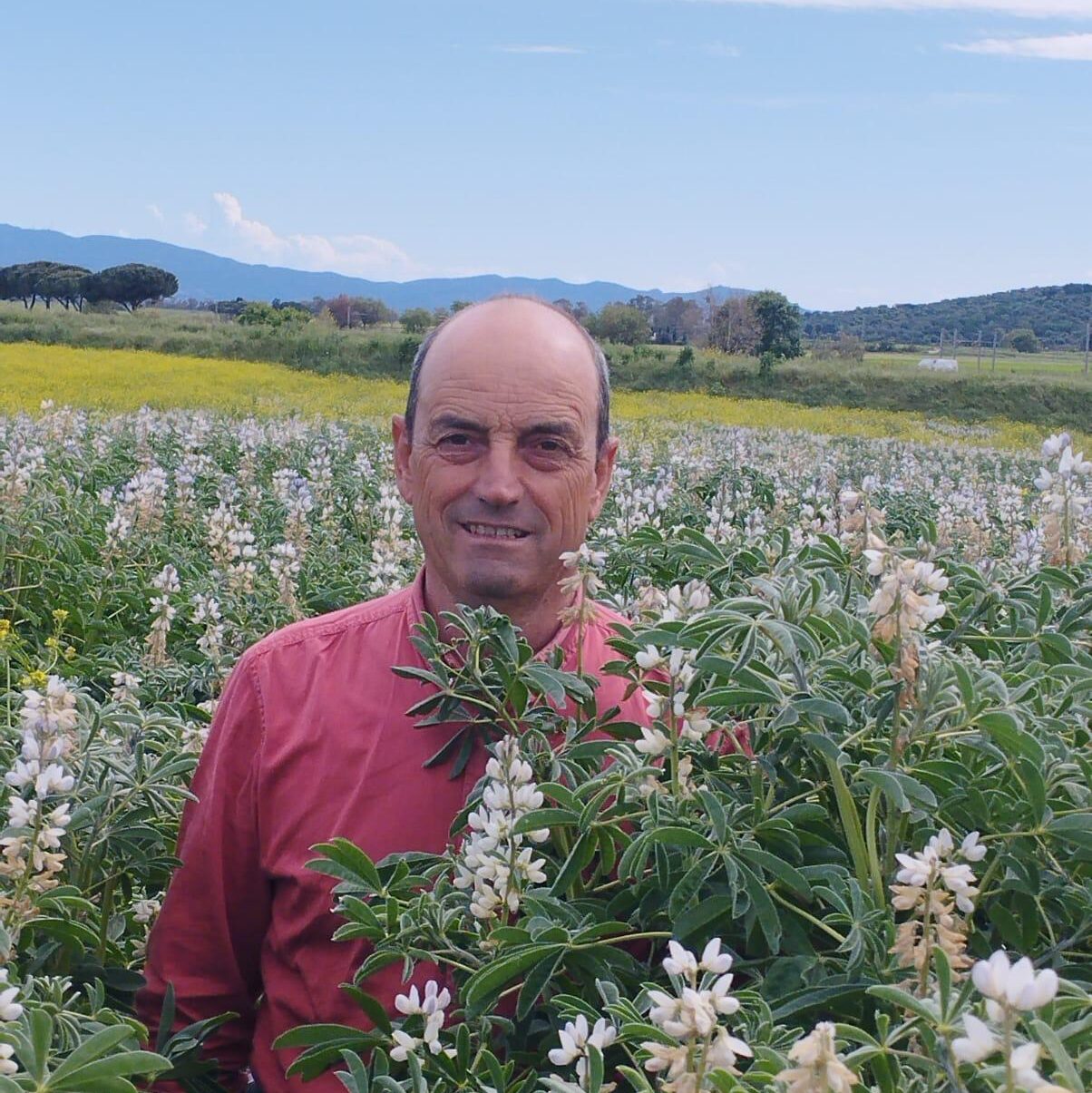 I rupini dolci di Grosseto di Riccardo Fusini
