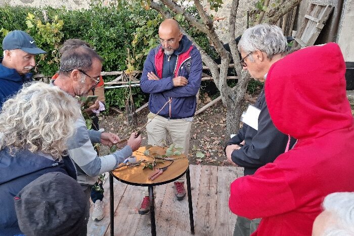 Prata al frutteto storico