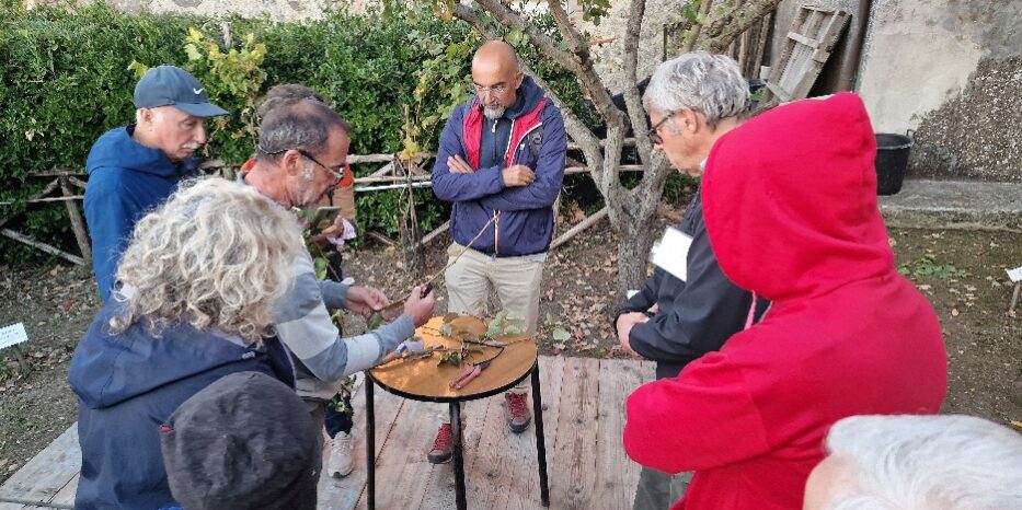 Prata al frutteto storico